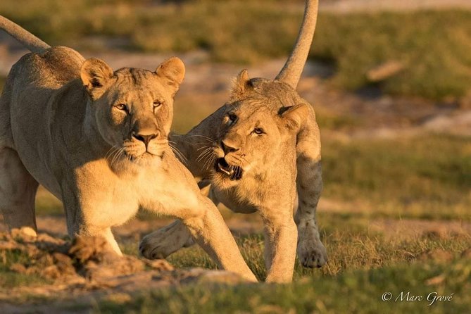 Kruger Park Safari - Key Points