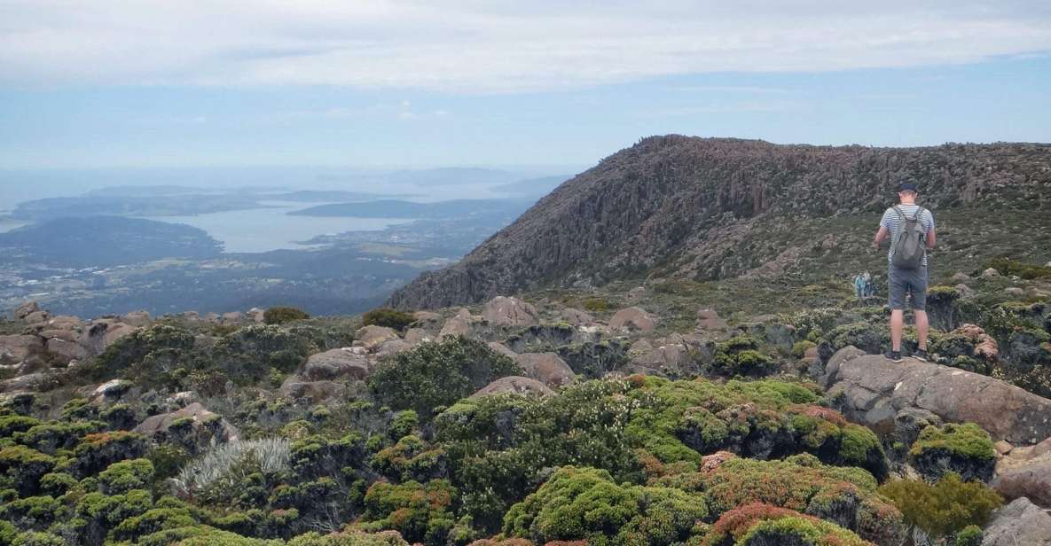 Kunanyi & Mt Wellington Explorer Bus: One-Way Bus Pass - Key Points