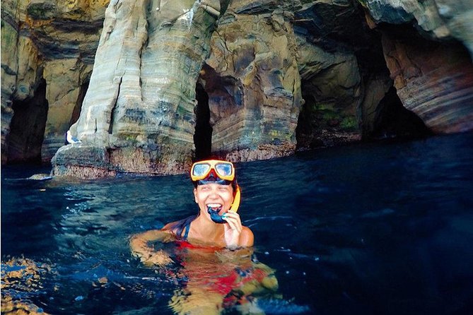 La Jolla Cove and Cave Snorkel Tour - Key Points