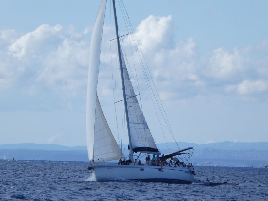La Maddalena: Full-Day Sailing Trip - Key Points