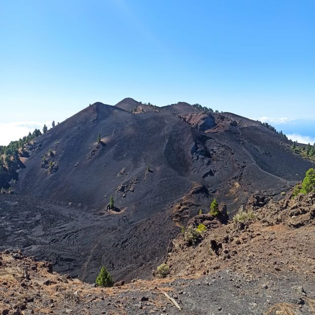 La Palma: Guided Trekking Tour to Volcanoes South - Key Points