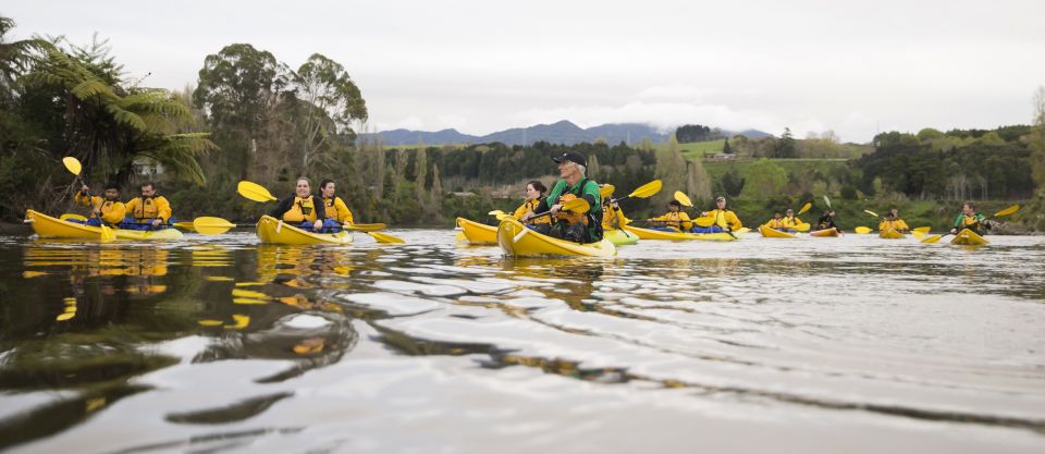 Lake Karapiro: Evening Kayak Glowworm Tour - Key Points