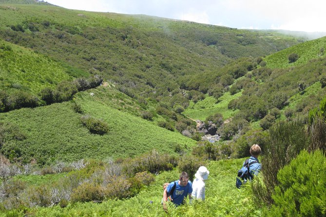 Lakes of Madeira- Alecrim Full Day Walk - Tour Highlights