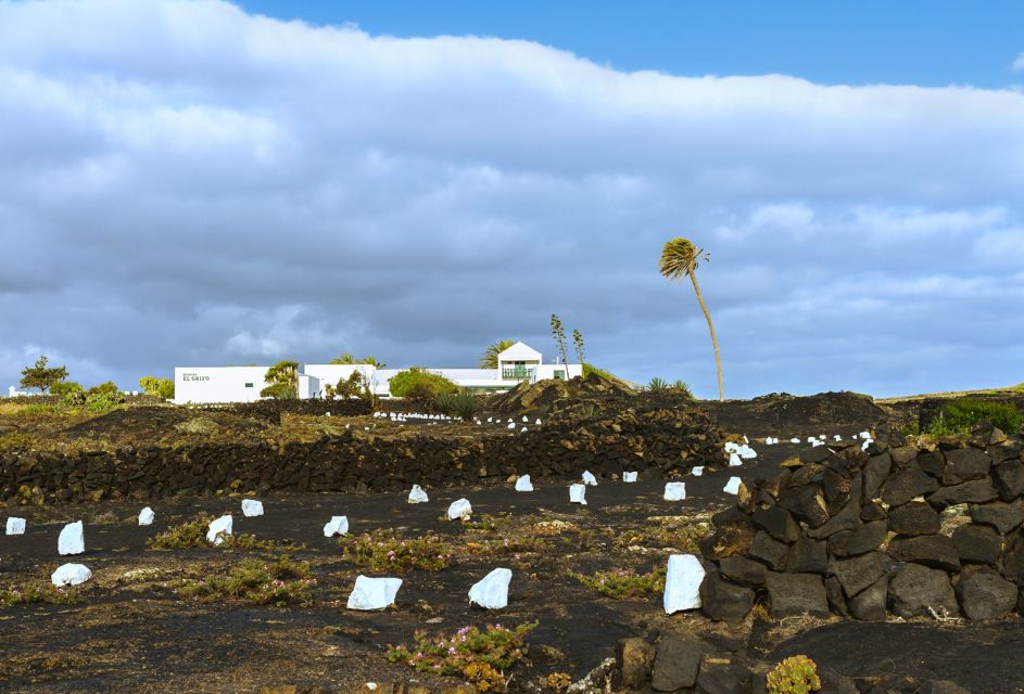 Lanzarote: Audio Guided Tour of the El Grifo Wine Museum - Key Points