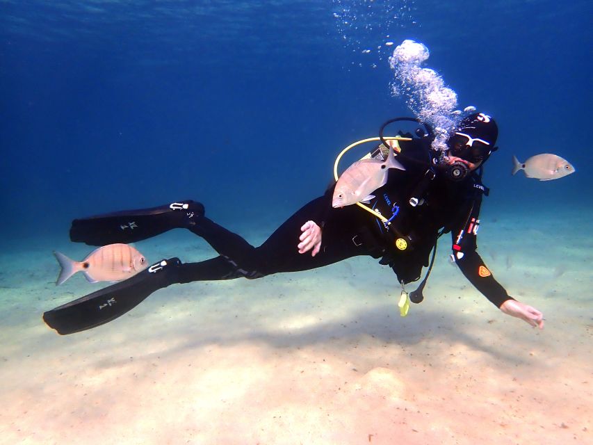 Lanzarote: Beginner Diving Course Costa Teguise (2 Dives) - Key Points