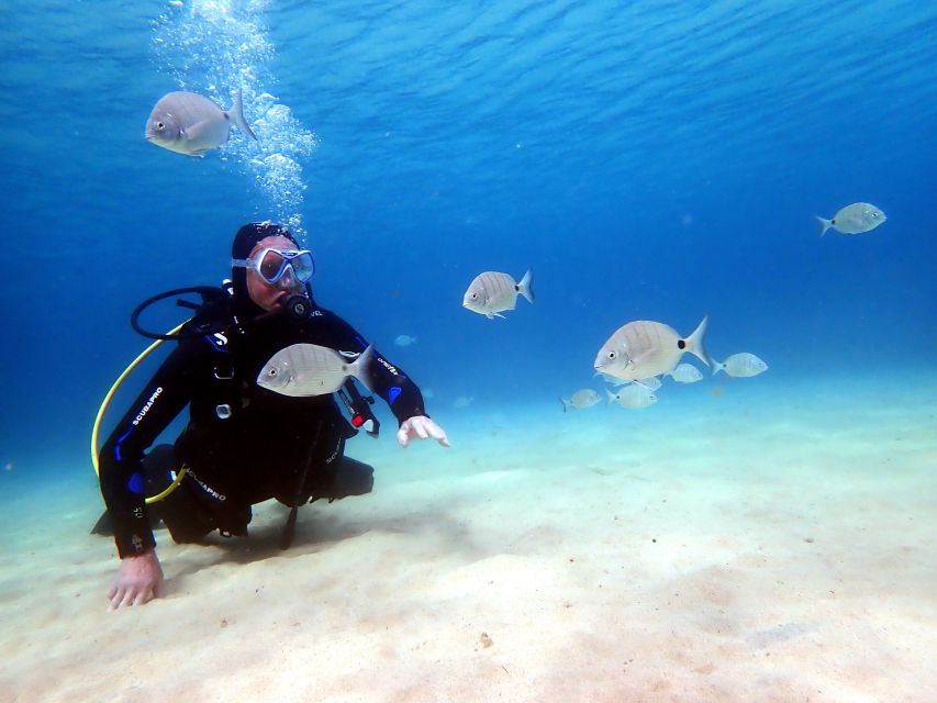 Lanzarote: Small Group Beginner Dive Course Costa Teguise - Key Points