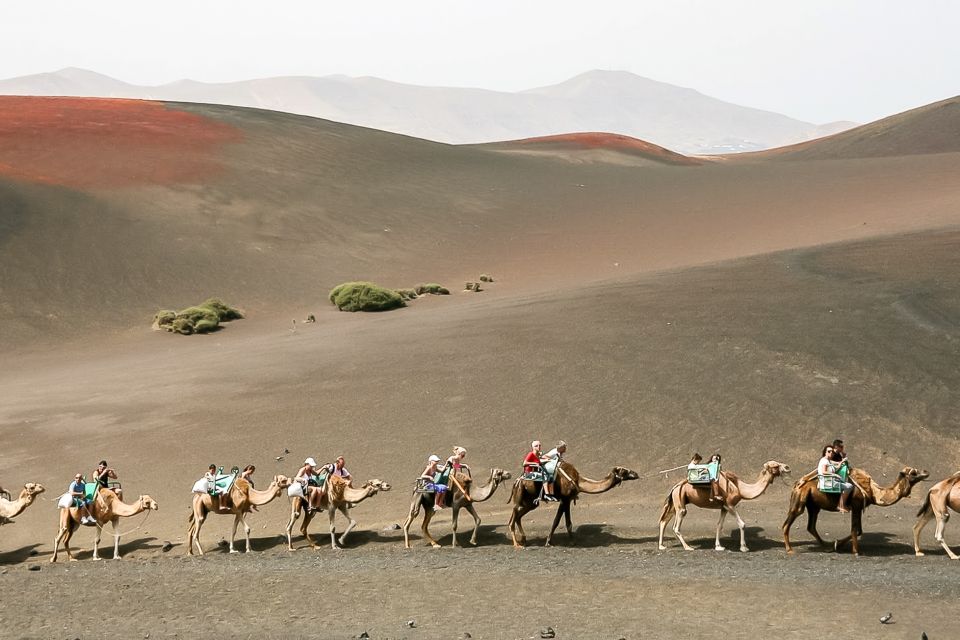 Lanzarote: Timanfaya National Park Volcanic Craters Tour - Key Points