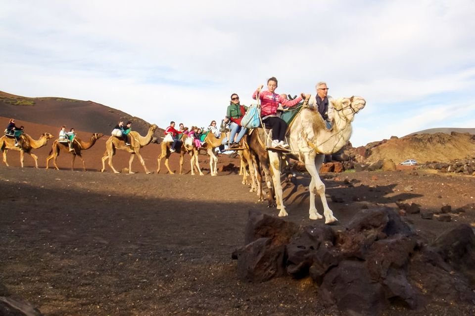 Lanzarote: Volcanoes & Caves Guided Day Trip With Transfers - Key Points