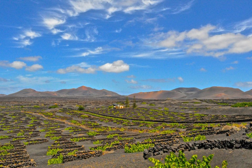 Lanzarote: Volcanos of Timanfaya and Caves Tour With Lunch - Key Points