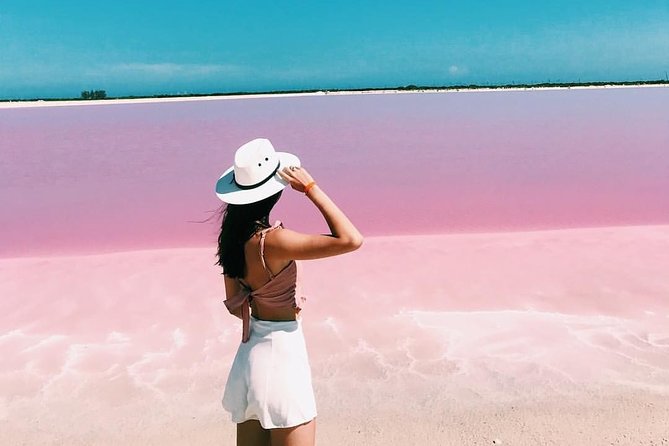 Las Coloradas Pink Lake With Ría Lagartos Boat Trip and Meals  - Cancun - Key Points