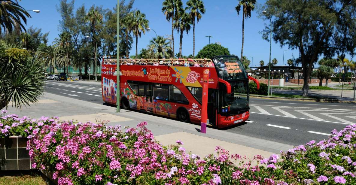 Las Palmas: City Sightseeing Hop-On Hop-Off Bus Tour - Key Points