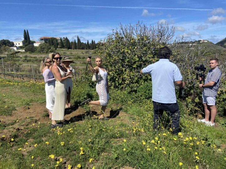 Las Palmas: Gran Canaria's Best Wineries and Views Tour - Key Points