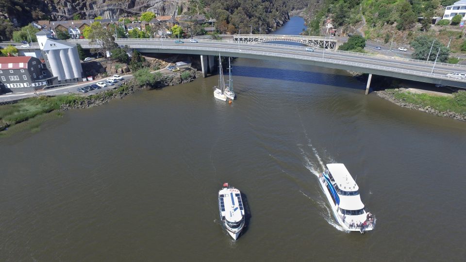 Launceston: 50-Minute Cataract Gorge Cruise - Key Points