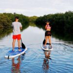 learn paddle board and explore the mangroves of progreso Learn Paddle Board and Explore the Mangroves of Progreso