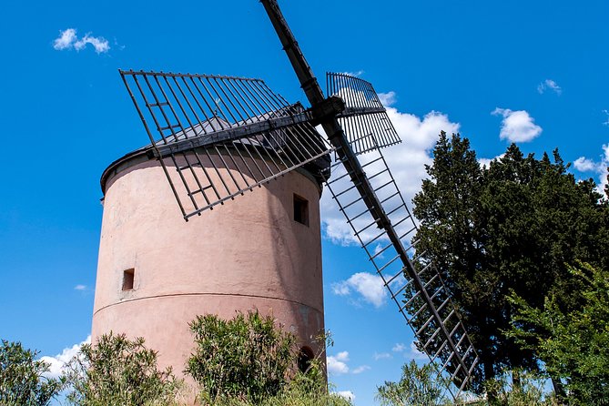 Leonardo Da Vincis Wind Mill Visit and Organic Olive Oil Tasting - Key Points