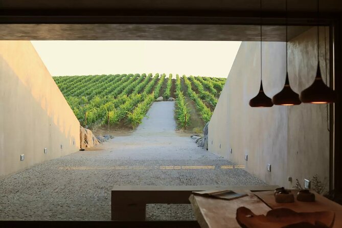 Lisbon Private Alentejo Tour With Wine Tasting - Key Points