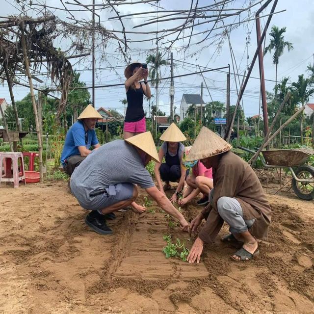 Local Market -Farming and Cooking Class In Tra Que - Key Points