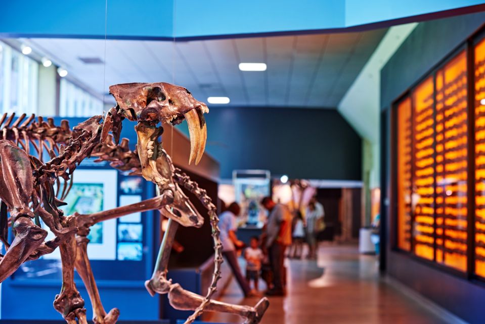 Los Angeles: La Brea Tar Pits Museum Ticket - Key Points