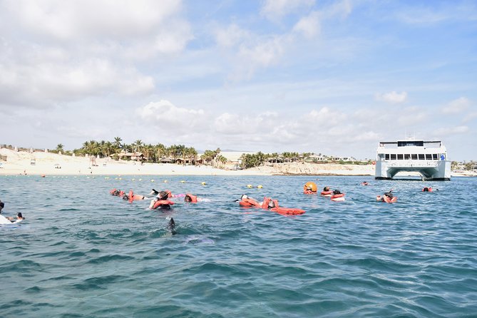 Los Cabos Reef Snorkeling Cruise With Lunch and Open Bar