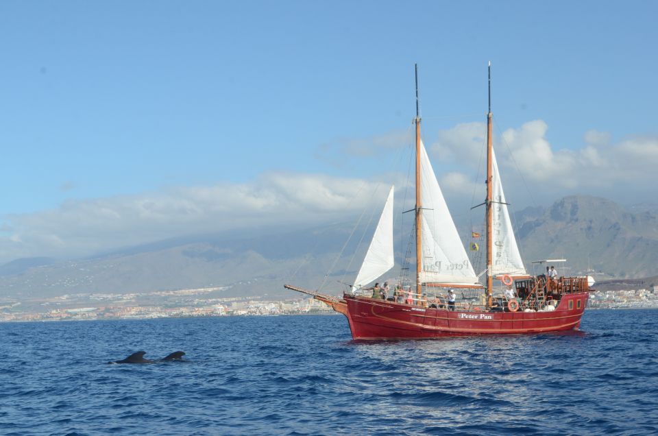 los cristianos whale watching sailboat tour and soft drinks Los Cristianos: Whale-Watching Sailboat Tour and Soft Drinks