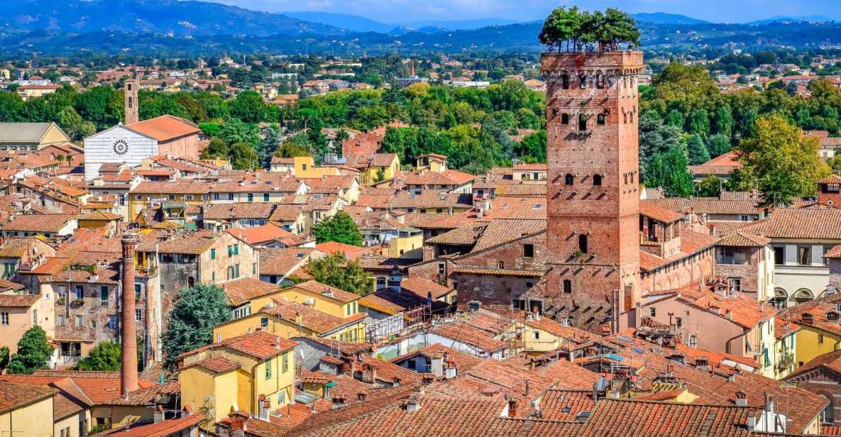 Lucca, Pisa and Livorno From Florence Private Car Tour - Key Points