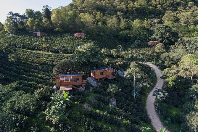 Luxury Coffee Plantation Private Tour (9 Hrs.) - Key Points