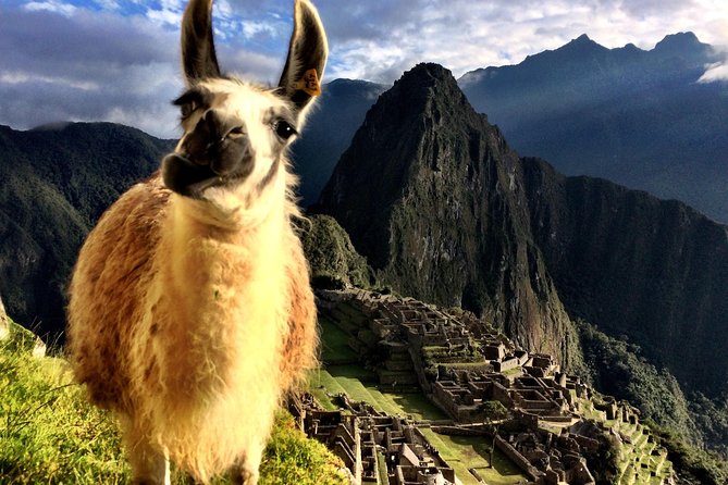 MACHU PICCHU Full Day - Highlights of Machu Picchu Full Day