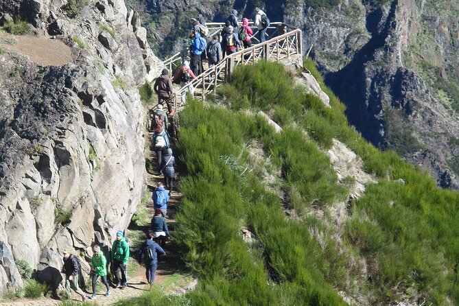 Madeira Full-Day Hiking Excursion - Pickup Information