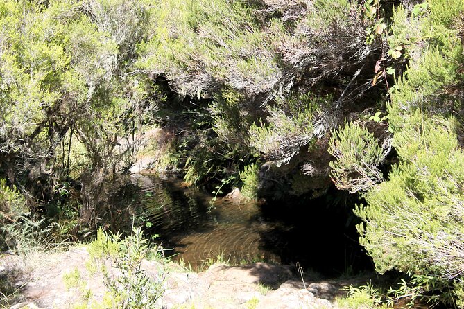 Madeira Lakes - Rosemary Levada - Key Points