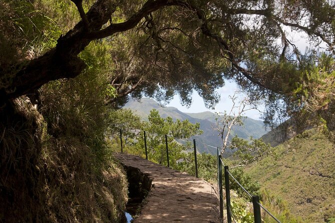 Madeira: Private Guided Levada Do Risco Hiking Tour Half-Day - Key Points