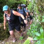 madeira private guided levada walking tour funchal Madeira: Private Guided Levada Walking Tour - Funchal