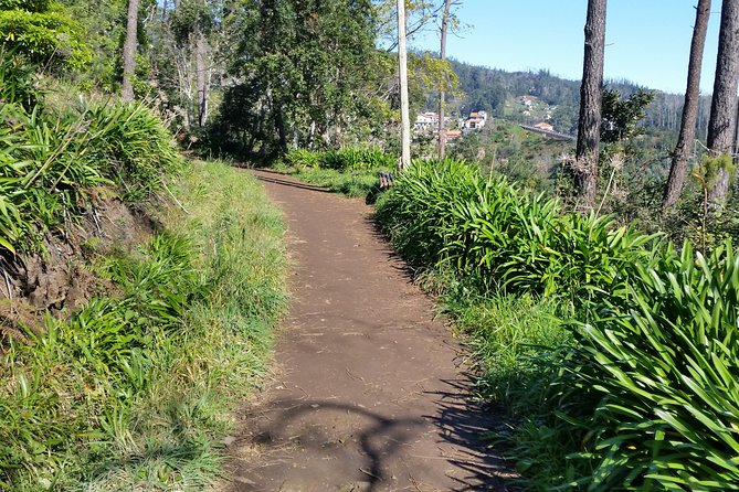 Madeira Vale Do Paraíso Day Walking Tour - Key Points