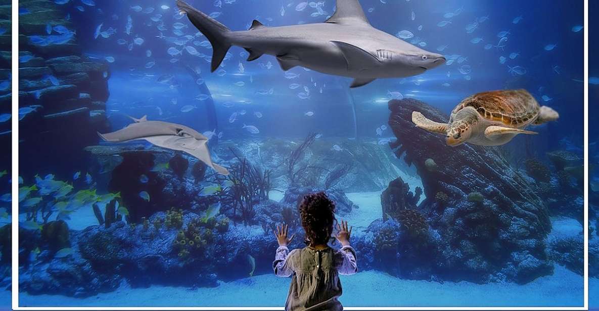 Madrid: Atlantis Aquarium Entry Ticket - Key Points