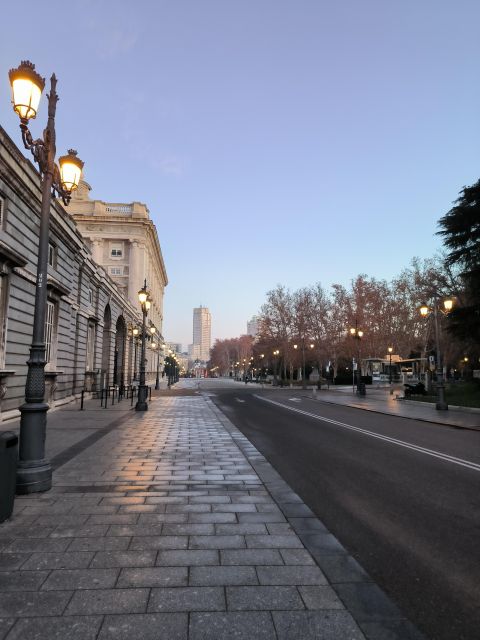 Madrid: Royal Palace & Prado Museum Private Tour - Key Points