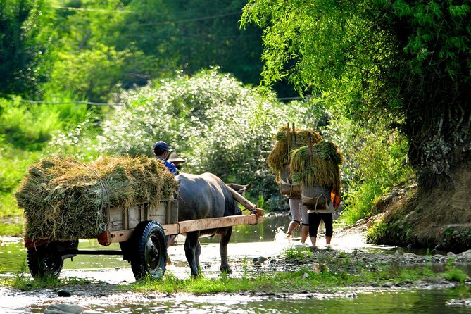 mai chau private tour full day biking and untouched landsapes Mai Chau Private Tour Full Day: Biking and Untouched Landsapes