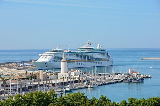 Malaga Swim Cruise and Tapas Meal at the Port - Key Points