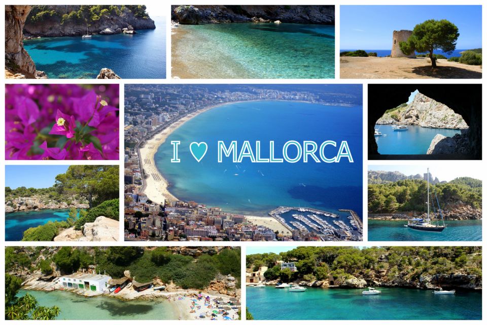 Mallorca Highlights Tour: Palma City, Tapas, Bazaar, Beach - Key Points