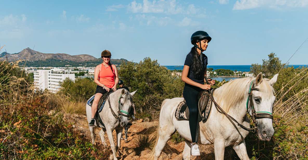 Mallorca: Mountain Horse Riding Experience W/ Brunch Option - Key Points