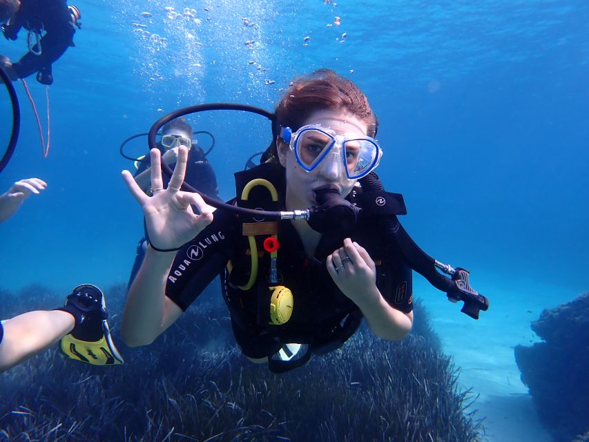 Mallorca: Scuba Diving Tour in a Marine Nature Reserve - Key Points