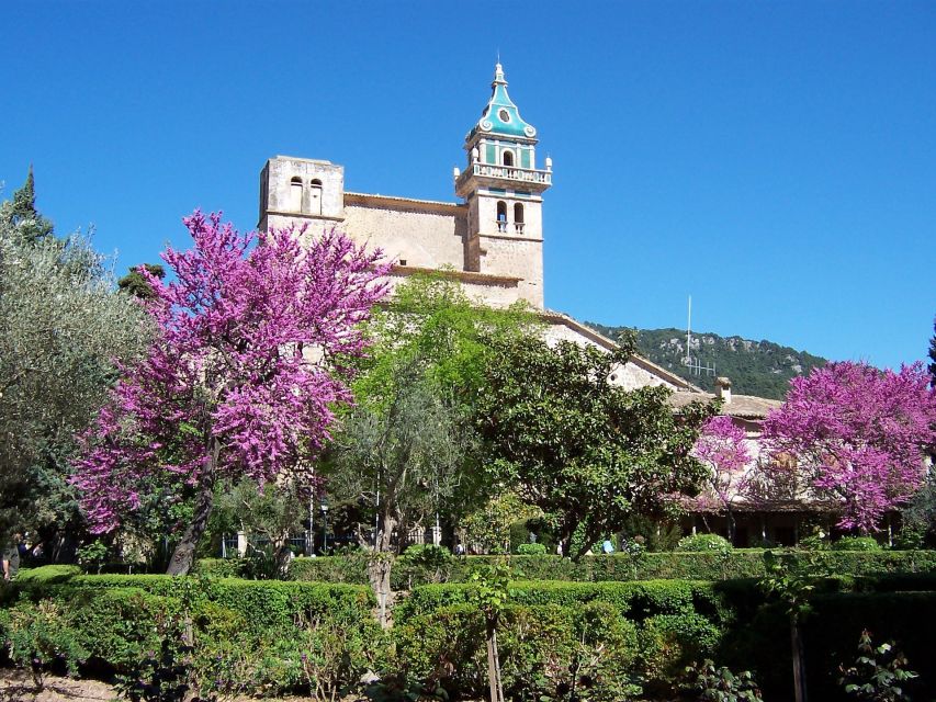 Mallorca: Soller Port and Valldemossa - Key Points