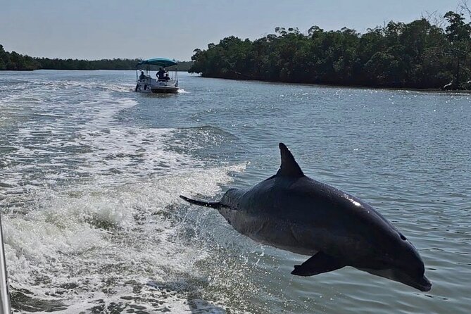 Manatee, Dolphin, and 10,000 Islands Eco Beach Tour by Boat - Key Points