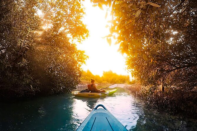 mangrove kayaking abu dhabi Mangrove Kayaking Abu Dhabi