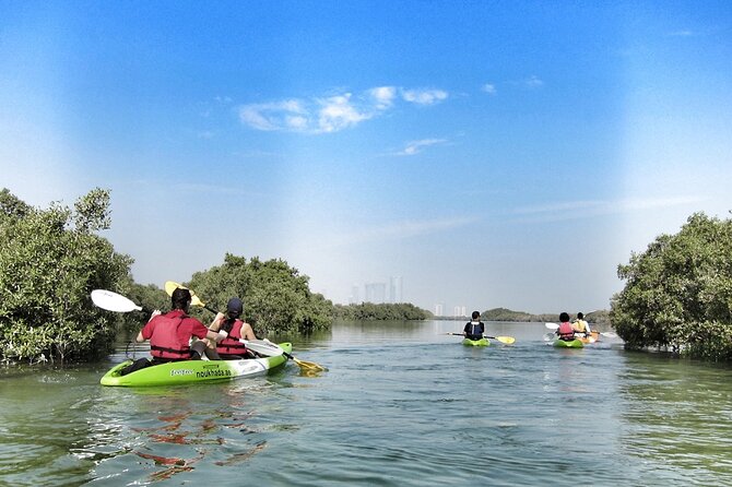 Mangrove Kayaking - Key Points