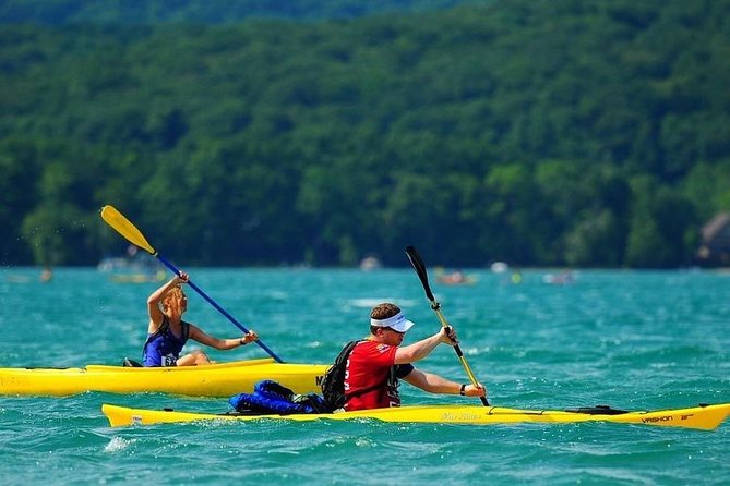 Mangroves Kayaking With Pickup & Drop off - Key Points