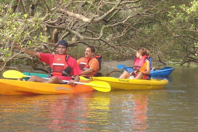 Mangroves Magic Goa Kayaking Experience - Key Points
