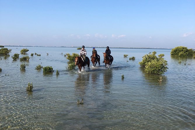 Mangroves Ride - Key Points