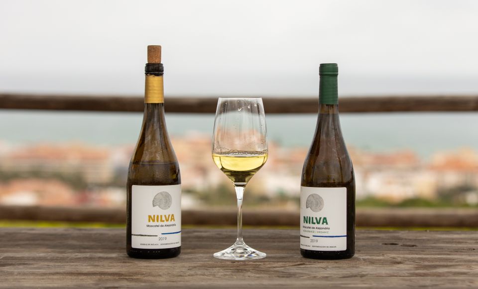 Manilva: Nilva Wine Experience - Wine & Tapas - Key Points