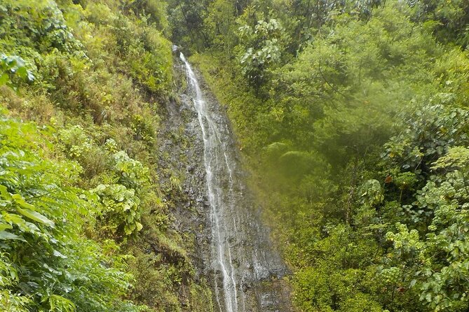 Manoa Waterfalls Hike and Lookout Visit: Pickup Included - Key Points