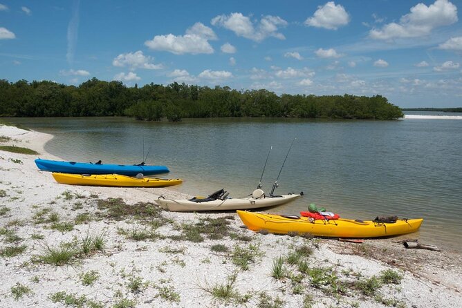 Marco Island Inshore Fishing Charters - Key Points