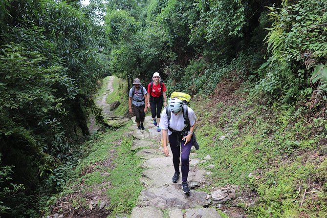 Mardi Himal Base Camp Trek (5 Days) - Key Points